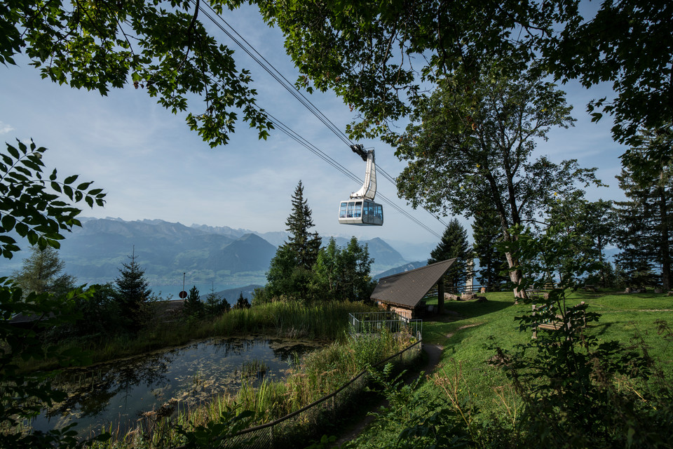 Luftseilbahn Weggis-Rigi Kaltbad im Sommer