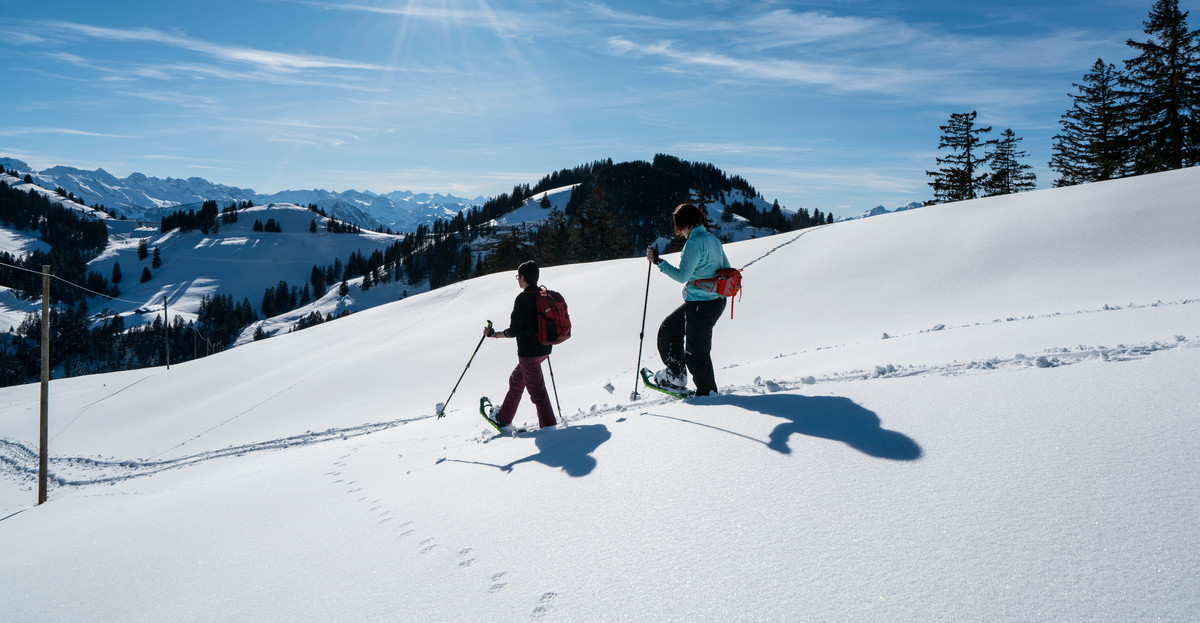 Schneeschuh-Tour