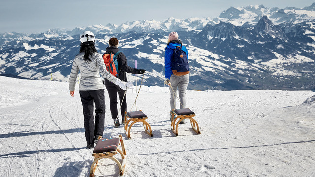 Schlitteln auf der Rigi