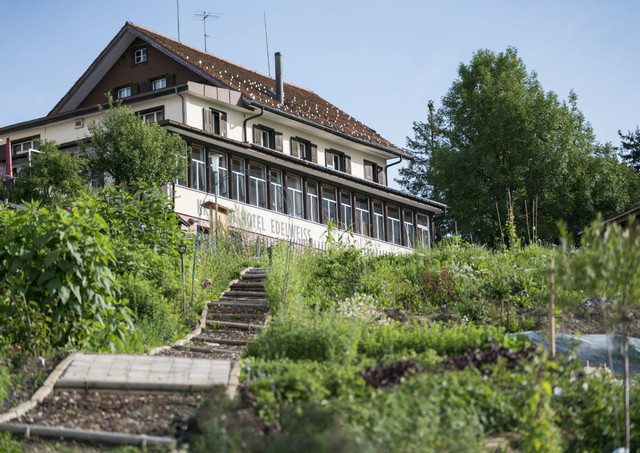 Kräuter Hotel Edelweiss