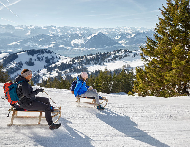 Schlitteln auf der Rigi