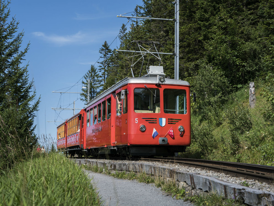 Zahnradbahn Vitznau - Rigi Kulm