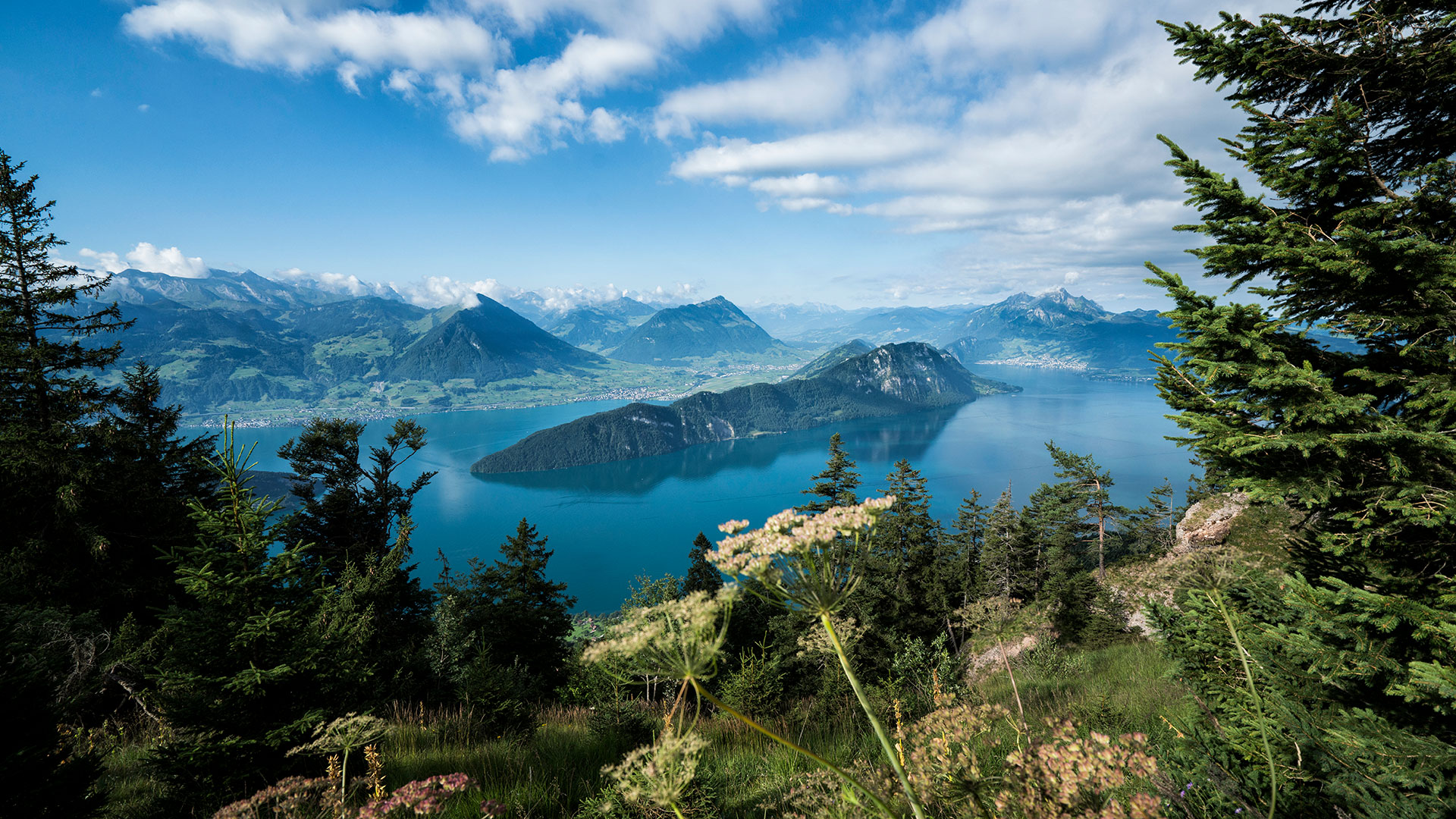 Aussicht auf den Pilatus