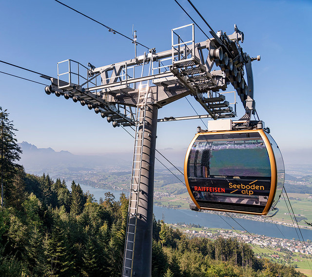 Luftseilbahn Küssnacht-Seebodenalp