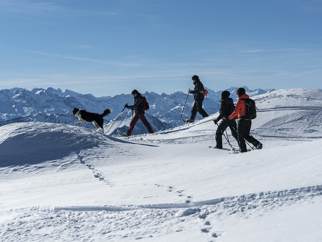 Schneeschuhlaufen auf der Rigi