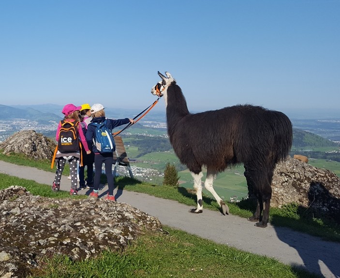 Lama Trekking