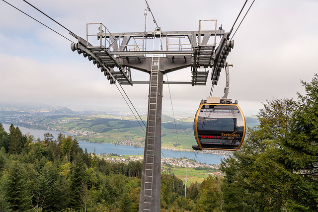 Luftseilbahn Küssnacht-Seebodenalp