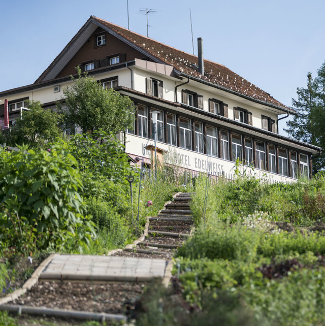 Kräuter Hotel Edelweiss